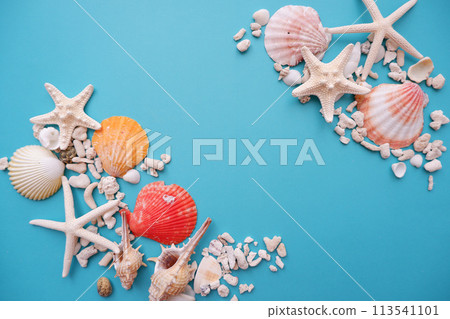 Colorful shells and starfish on a blue background, summer image background Colorful shells and starfish on a blue background, summer image background 113541101