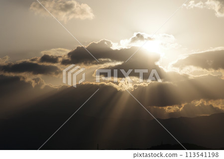 清晨的陽光 113541198