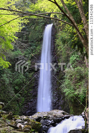 Yoro no Waterfall 113541486