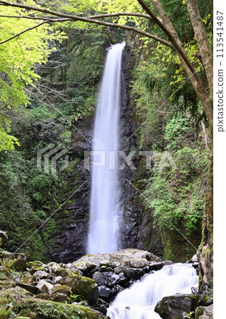 Yoro no Waterfall 113541487