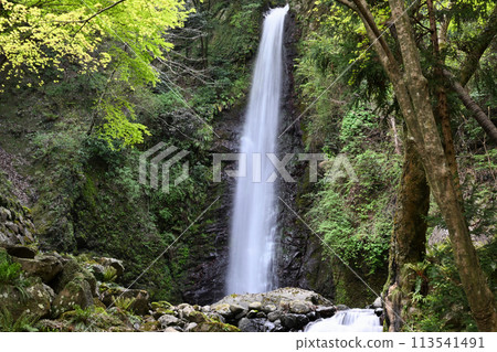 Yoro沒有瀑布 113541491