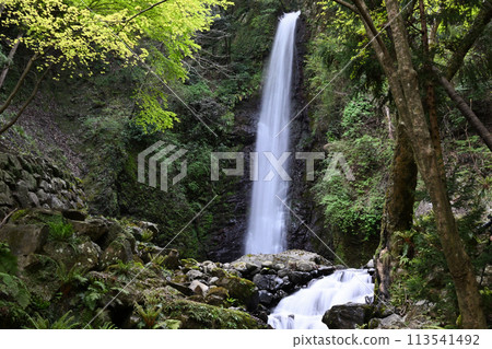 Yoro沒有瀑布 113541492