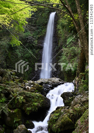 Yoro沒有瀑布 113541493