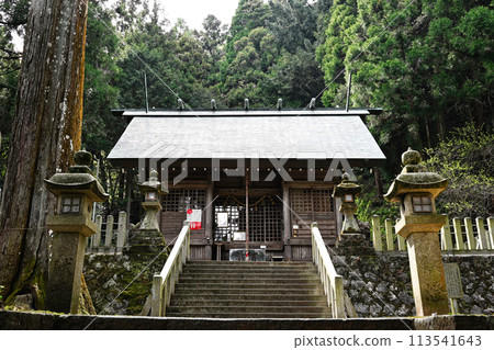 Yoro神社 113541643