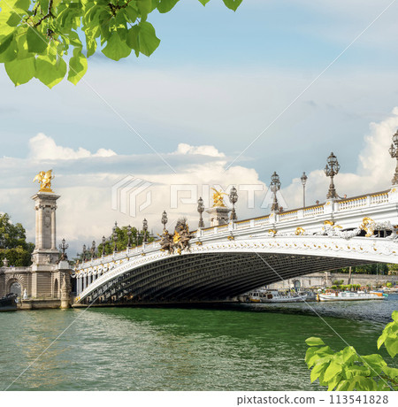View of Pont Alexandre III in Paris View of Pont Alexandre III in Paris 113541828