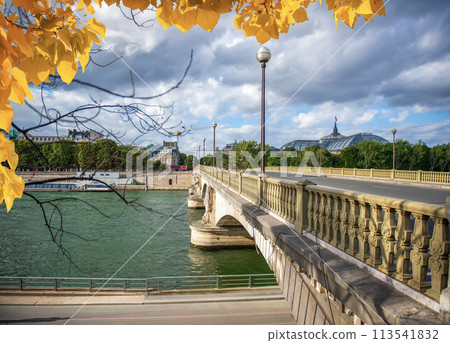 Pont Alexandre in Paris in autumn Pont Alexandre in Paris in autumn 113541832