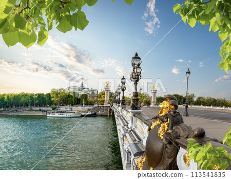 Bridge Alexandre in Paris Bridge Alexandre in Paris 113541835
