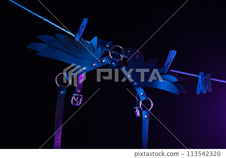 bdsm leather shoulder straps in the shape of wings hanging on a clothesline in neon light on a black background, conceptual photos bdsm leather shoulder straps in the shape of wings hanging on a clothesline in neon light on a black background, conceptual photos 113542320