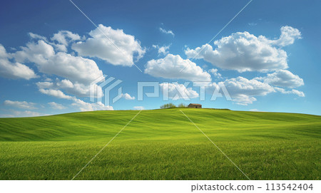 Green agricultural fields with old barn on the hill. 113542404