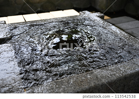 大垣的春天 113542538