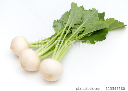 White turnip 113542580