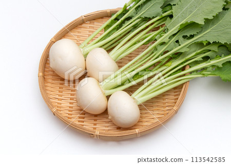 White turnip White turnip 113542585