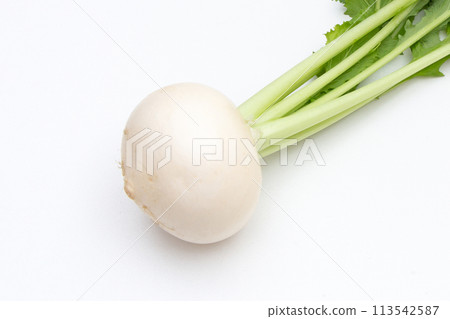 White turnip 113542587