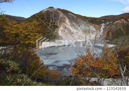 Panoramic view of Oyunuma Pond in Noboribetsu Jigokudani, Noboribetsu, Hokkaido 113542639