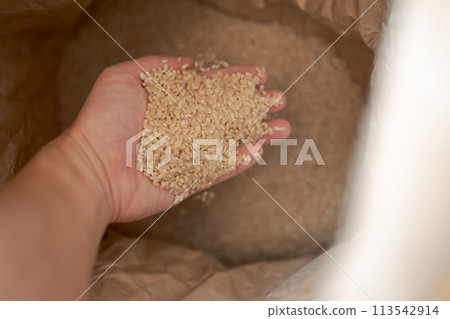 brown rice, unpolished rice, hand 113542914