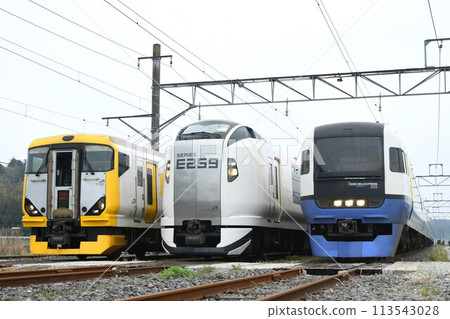 滯留軌道上排列的過往特快列車(E257系、500系、E259系、255系) 滯留軌道上排列的過往特快列車(E257系、500系、E259系、255系) 113543028