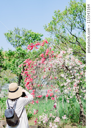 A woman shooting flowers A woman shooting flowers 113543164
