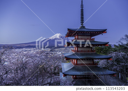 Cherry blossoms at Chureito Pagoda and Mt. Fuji from Arakurayama Sengen Park at dawn Cherry blossoms at Chureito Pagoda and Mt. Fuji from Arakurayama Sengen Park at dawn 113543203