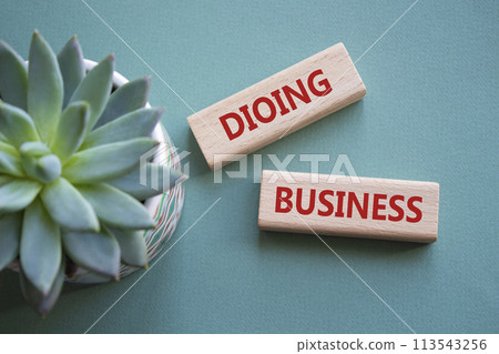 Doing Business symbol. Concept word Doing Business on wooden blocks. Beautiful grey green background with succulent plant. Business and Doing Business concept. Copy space Doing Business symbol. Concept word Doing Business on wooden blocks. Beautiful grey green background with succulent plant. Business and Doing Business concept. Copy space 113543256