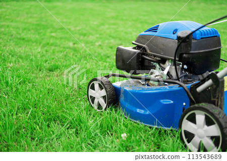 Lawn mower cutting grass. Small grass cuttings fly out of lawnmower. Grass clippings get spewed out of a mower pushed around by landscaper. CloseUp. Gardener working with mower machine. Mowing lawns Lawn mower cutting grass. Small grass cuttings fly out of lawnmower. Grass clippings get spewed out of a mower pushed around by landscaper. CloseUp. Gardener working with mower machine. Mowing lawns 113543689