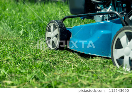 Lawn mower cutting grass. Small grass cuttings fly out of lawnmower. Grass clippings get spewed out of a mower pushed around by landscaper. CloseUp. Gardener working with mower machine. Mowing lawns Lawn mower cutting grass. Small grass cuttings fly out of lawnmower. Grass clippings get spewed out of a mower pushed around by landscaper. CloseUp. Gardener working with mower machine. Mowing lawns 113543690