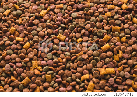 Pet Food Texture. Lot of Dry Granules of Crunchy Dog or Cat Food. Rotating Background. Animal Feed Pile. Fodder. Meal for Cats, Dogs. Filling. Daylight. Advertising. Pet Shop, Delivery. Healthy Treat 113543715