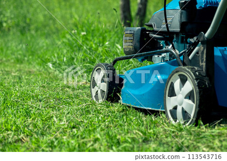 Lawn mower cutting grass. Small grass cuttings fly out of lawnmower. Grass clippings get spewed out of a mower pushed around by landscaper. CloseUp. Gardener working with mower machine. Mowing lawns 113543716