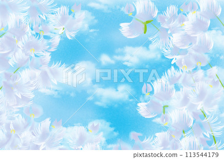 鷺花卡2 鷺花卡2 113544179