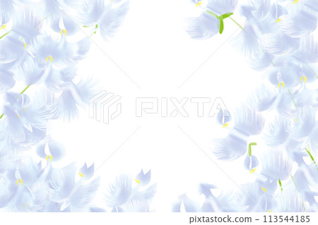 鷺花卡 6 113544185