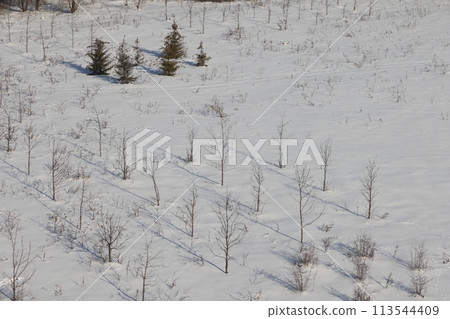Deserted winter landscape. A path of footprints stretches across the pure white snow Deserted winter landscape. A path of footprints stretches across the pure white snow 113544409