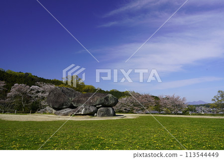 The stone fortifications and cherry blossoms of Ishibutai stand out against the blue spring sky. 113544449