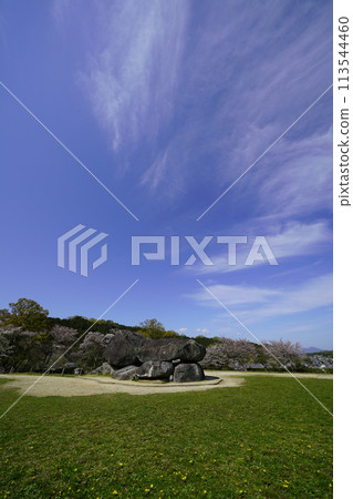 The stone fortifications and cherry blossoms of Ishibutai stand out against the blue spring sky. The stone fortifications and cherry blossoms of Ishibutai stand out against the blue spring sky. 113544460