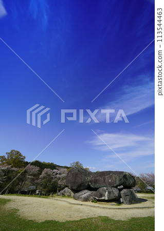 The stone fortifications and cherry blossoms of Ishibutai stand out against the blue spring sky. The stone fortifications and cherry blossoms of Ishibutai stand out against the blue spring sky. 113544463