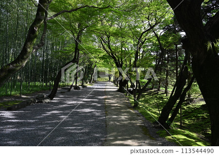 Tea house ruins 113544490