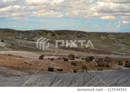 Alien Landscape Petrified Forest National Park Arizona 113544541