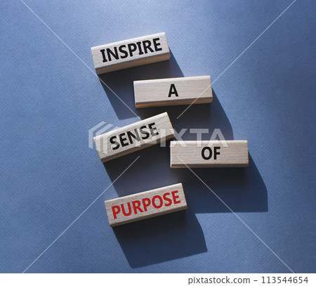 Purpose symbol. Wooden blocks with words Inspire a sense of Purpose. Beautiful grey background. Business and Purpose concept. Copy space. 113544654