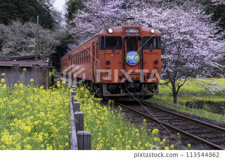 從小湊鐵道飯急站出發，穿過櫻花和油菜花田的機車 113544862