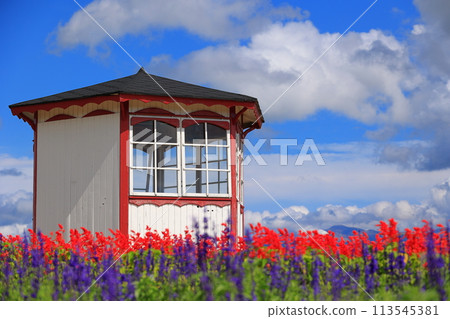 Scenery with flowers 113545381