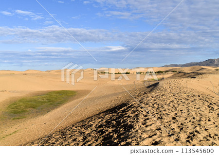 Gobi desert 113545600