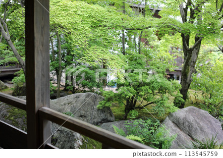 春天樂園園林風光 春天樂園園林風光 113545759