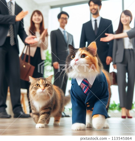 The promoted calico cat 113545864