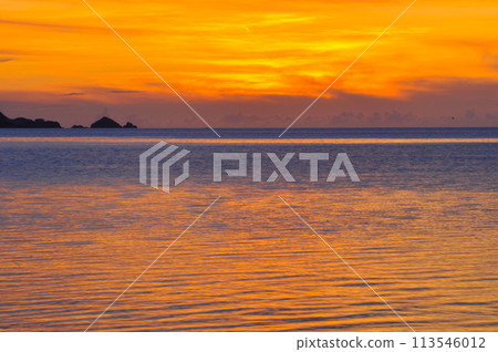 暮光之城的海邊 113546012