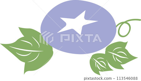 Simple and cute purple morning glory 113546088