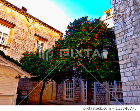 Old Town Dubrovnik, Croatia 113546773