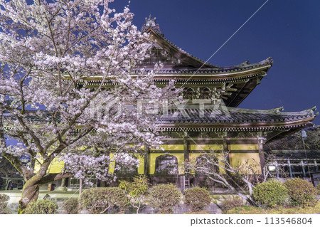 春天的京都,南禪寺,夜晚的櫻花 春天的京都,南禪寺,夜晚的櫻花 113546804