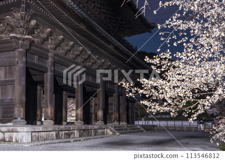 Spring in Kyoto: Cherry blossoms at night at Sanmon Gate of Nanzenji Temple 113546812