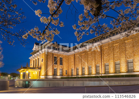 春天的京都—夜櫻花與京都市京瓷美術館 113546826