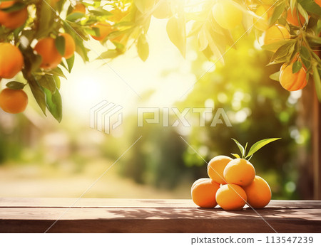 Wooden table and orange tree branch close-up, citrus fruit orchard background with copy space, AI generated 113547239