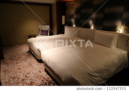 國外豪華飯店套房雙床 113547353