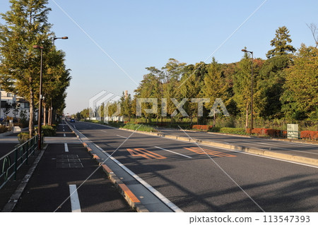筆直的林蔭大道 林蔭大道 筆直的道路 筆直的林蔭大道 林蔭大道 筆直的道路 113547393